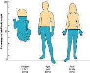 Water And Electrolytes Balance And Imbalance In Human Body PowerPoint Presentation