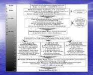 Pediatric Sepsis PowerPoint Presentation Notes