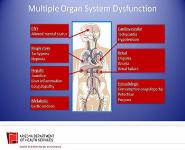 Identification and Management of Sepsis in the Prehospital Environment PowerPoint Presentation Notes