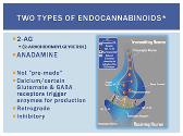 Endocannabinoids