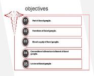 Basal ganglia PowerPoint Presentation
