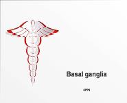 Basal Ganglia PowerPoint Presentation