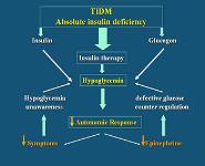 Hypoglycemia PowerPoint Presentation