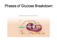 Inquiry Into Life PowerPoint Presentation Notes