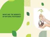 What are the benefits of Natural Pesticides?