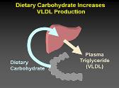 Basics of Lipid And Lipoprotein Metabolism