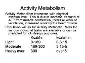 Metabolic Rate