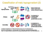 Male Hypogonadism