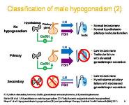 Male Hypogonadism PowerPoint Presentation Notes