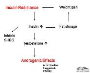 Polycystic Ovarian Syndrome PowerPoint Presentation