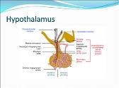 Pituitary Disorders