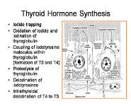 Thyroid Emergencies PowerPoint Presentation