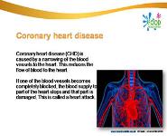 Diet and Health PowerPoint Presentation Notes