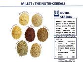 International Year of Millets-IYOM 2023