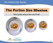 My Plate PowerPoint Presentation Notes