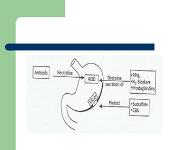 Drugs For Peptic Ulcer Emesis and Reflux Disorders PowerPoint Presentation