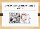 Hepatitis Viruses-An Overview