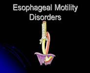 Esophageal Disorders PowerPoint Presentation