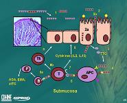 Celiac Disease PowerPoint Presentation