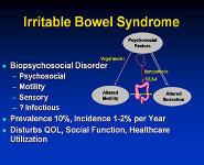 Irritable Bowel Syndrome PowerPoint Presentation Notes