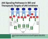 Jak-Stat Pathway In Inflammatory Bowel Disease PowerPoint Presentation Notes