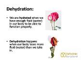 Dehydration and Older People