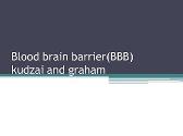 Blood Brain Barrier