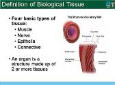 Definition of Biological Tissue
