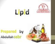Lipid PowerPoint Presentation Notes