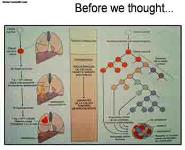 Oncologic Treatments PowerPoint Presentation