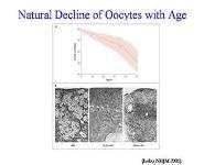 Fertility in Cancer Patients PowerPoint Presentation