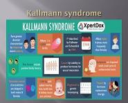 Bieniy Yumny Crisis PowerPoint Presentation Notes