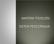 ANATOMI FISIOLOGI PowerPoint Presentation