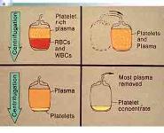 Basics of Transfusion Therapy PowerPoint Presentation Notes