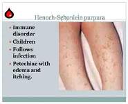 Bleeding Disorders PowerPoint Presentation Notes