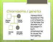 Hemophilia PowerPoint Presentation