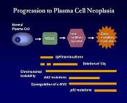 Advances in Biology and Pathophysiology of Multiple Myeloma PowerPoint Presentation Notes