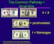 Coagulation Made Easy PowerPoint Presentation