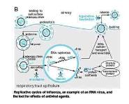 Antiviral Drugs PowerPoint Presentation Notes