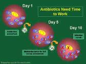 Antibiotic Resistance