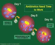 Antibiotic Resistance PowerPoint Presentation Notes