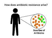 Microbial Connections-the rise of antibiotic resistance