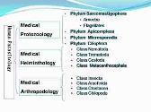 Introduction to Medical Parasitology