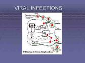 Immune Response to Infectious Disease