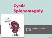 Cystic Splenomegaly