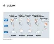 Molecular Genetics PowerPoint Presentation