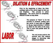 Birth PowerPoint Presentation