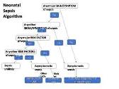 Neonatal Sepsis Algorithm
