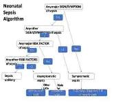 Neonatal Sepsis Algorithm PowerPoint Presentation