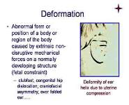 An Approach to Birth Defects-Perspectives in Dysmorphology PowerPoint Presentation